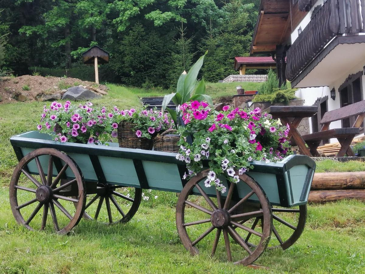 Casa Verde Voroneț Eksteriør billede
